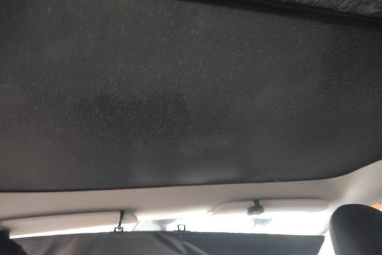Used Tesla Model Y 2021 Standard Range Rear-Wheel Drive Version Headliner