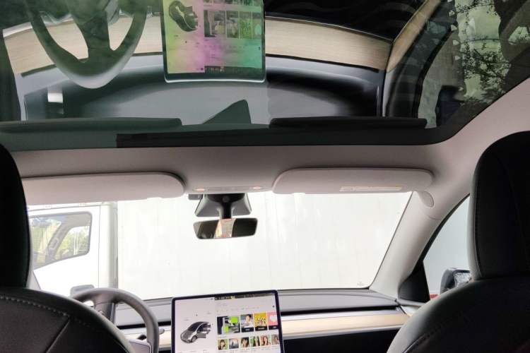 Used Tesla Model Y 2021 Standard Range Rear-Wheel Drive Version Headliner
