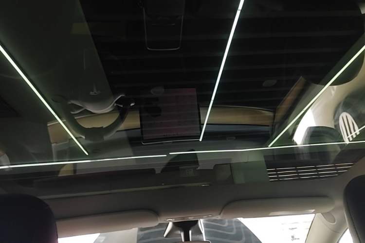 Used Tesla Model Y 2021 Standard Range Rear-Wheel Drive Version Headliner