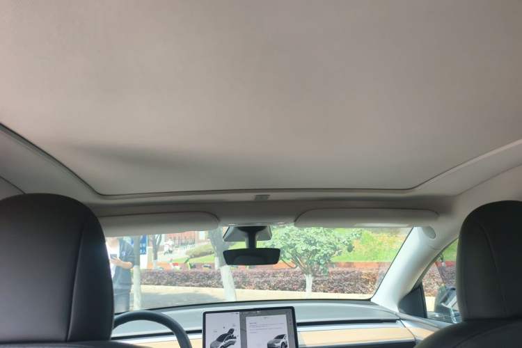 Used Tesla Model Y 2021 Standard Range Rear-Wheel Drive Version Headliner