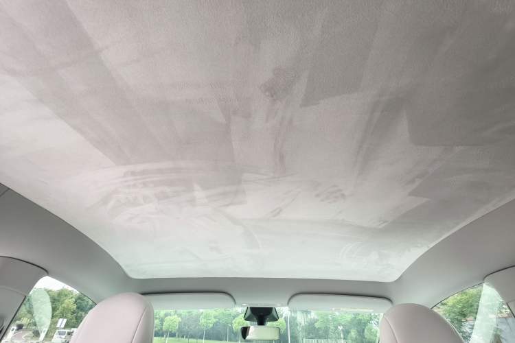 Used Tesla Model Y 2021 Performance High-Performance All-Wheel-Drive Version Headliner