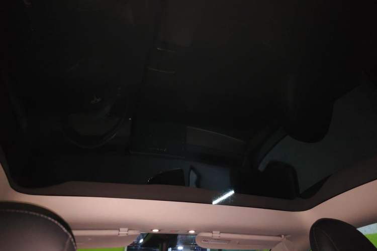 Used Tesla Model Y 2021 Standard Range Rear-Wheel Drive Version Headliner