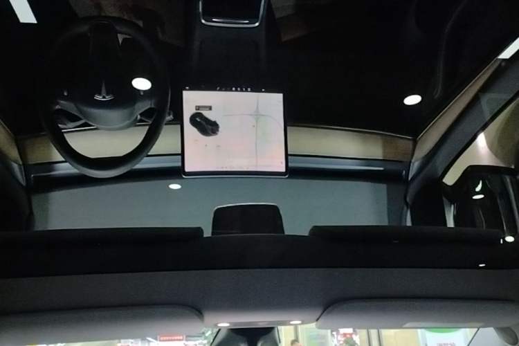 Used Tesla Model Y 2021 Standard Range Rear-Wheel Drive Version Headliner