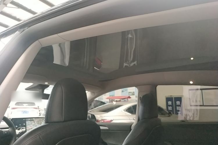 Used Tesla Model Y 2021 Standard Range Rear-Wheel Drive Version Headliner