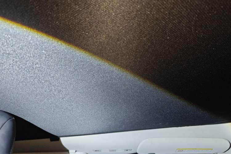 Used Tesla Model Y 2021 Long-Range All-Wheel-Drive Version Headliner