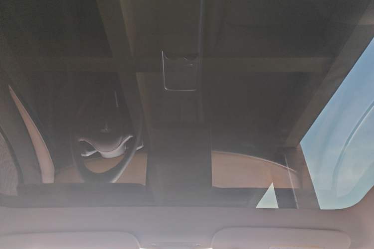 Used Tesla Model Y 2021 Standard Range Rear-Wheel Drive Version Headliner