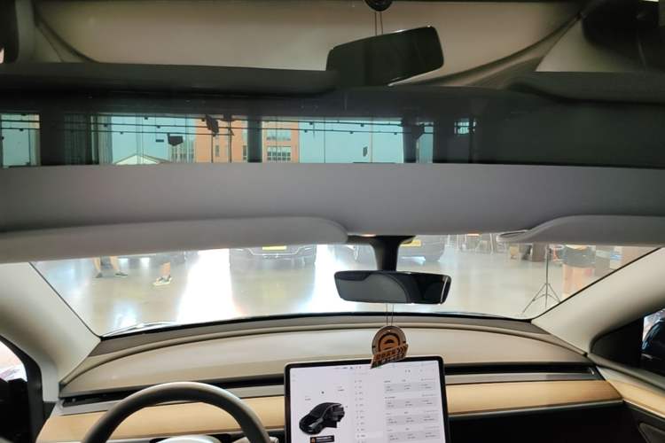 Used Tesla Model Y 2021 Long-Range All-Wheel-Drive Version Headliner