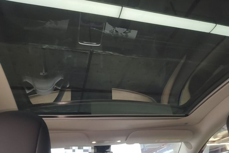 Used Tesla Model Y 2021 Standard Range Rear-Wheel Drive Version Headliner