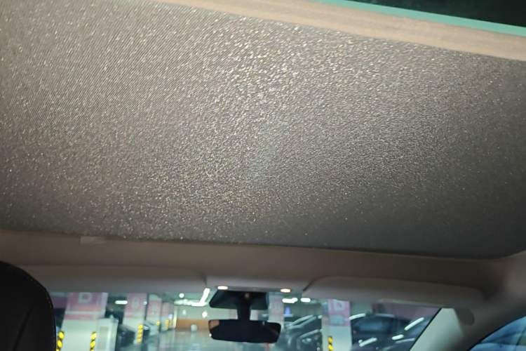 Used Tesla Model Y 2021 Standard Range Rear-Wheel Drive Version Headliner