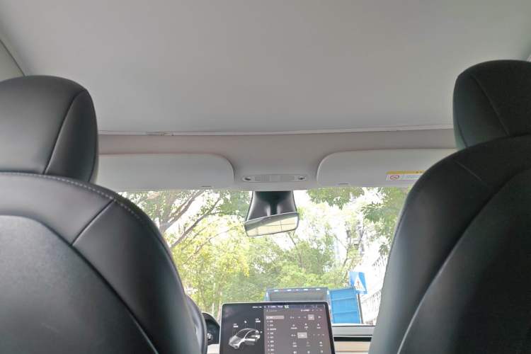 Used Tesla Model Y 2021 Standard Range Rear-Wheel Drive Version Headliner