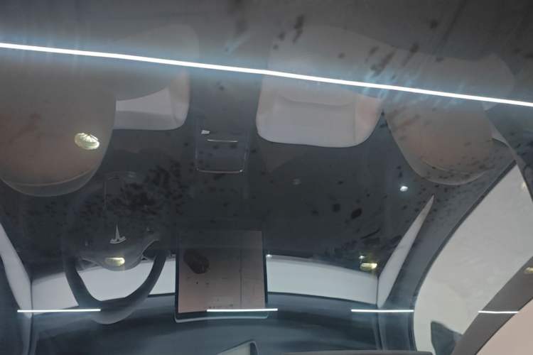 Used Tesla Model Y 2021 Standard Range Rear-Wheel Drive Version Headliner