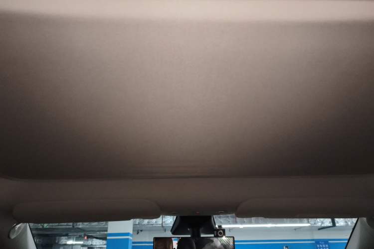 Used Tesla Model Y 2021 Standard Range Rear-Wheel Drive Version Headliner