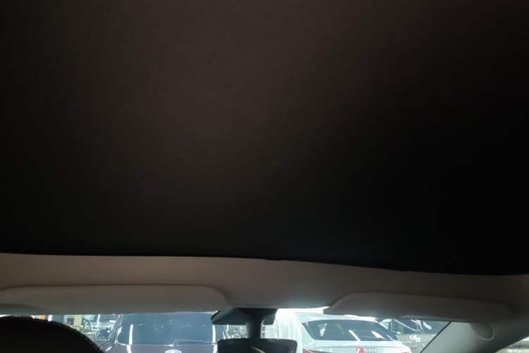 Used Tesla Model Y 2021 Standard Range Rear-Wheel Drive Version Headliner