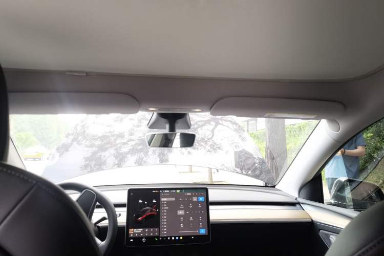 Used Tesla Model Y 2021 Standard Range Rear-Wheel Drive Version Headliner