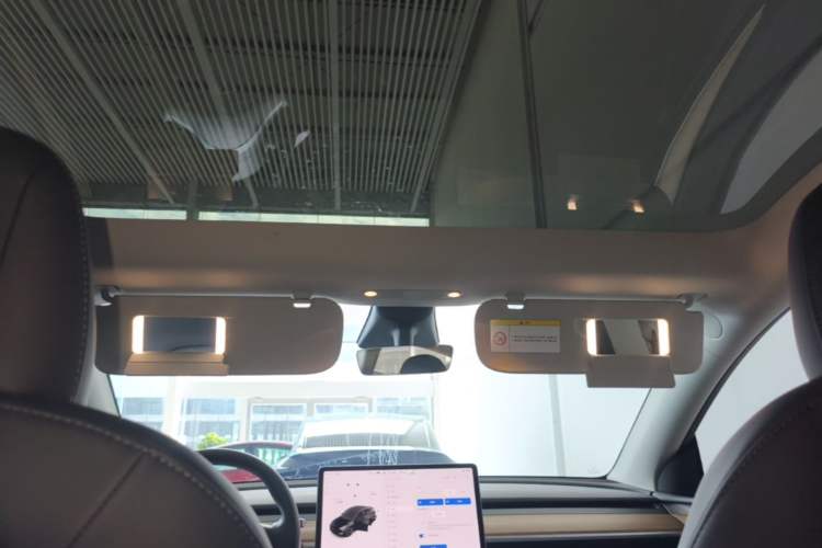 Used Tesla Model Y 2021 Standard Range Rear-Wheel Drive Version Headliner