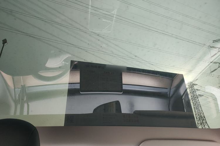 Used Tesla Model Y 2021 Standard Range Rear-Wheel Drive Version Headliner