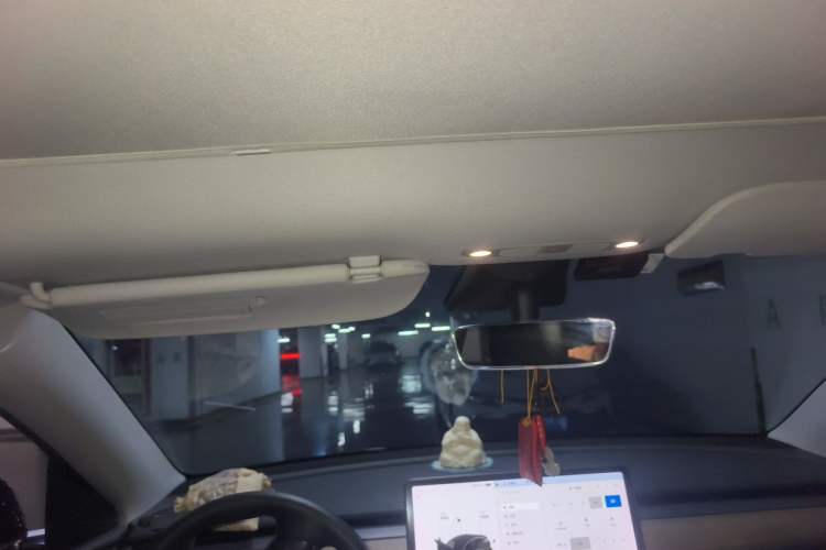 Used Tesla Model Y 2021 Standard Range Rear-Wheel Drive Version Headliner