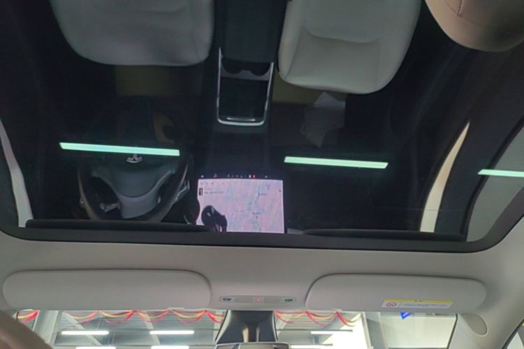 Used Tesla Model Y 2021 Standard Range Rear-Wheel Drive Version Headliner