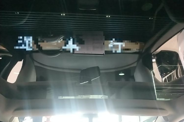 Used Tesla Model Y 2021 Standard Range Rear-Wheel Drive Version Headliner