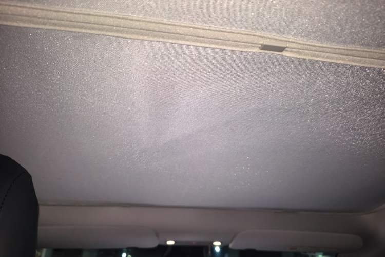 Used Tesla Model Y 2021 Standard Range Rear-Wheel Drive Version Headliner