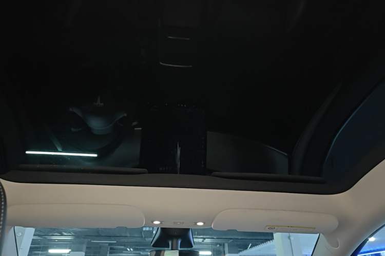 Used Tesla Model Y 2021 Standard Range Rear-Wheel Drive Version Headliner