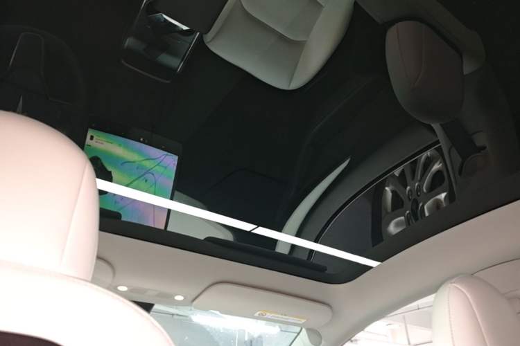 Used Tesla Model Y 2021 Standard Range Rear-Wheel Drive Version Headliner