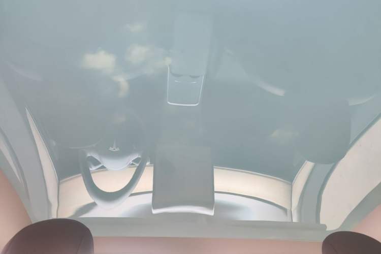 Used Tesla Model Y 2021 Standard Range Rear-Wheel Drive Version Headliner