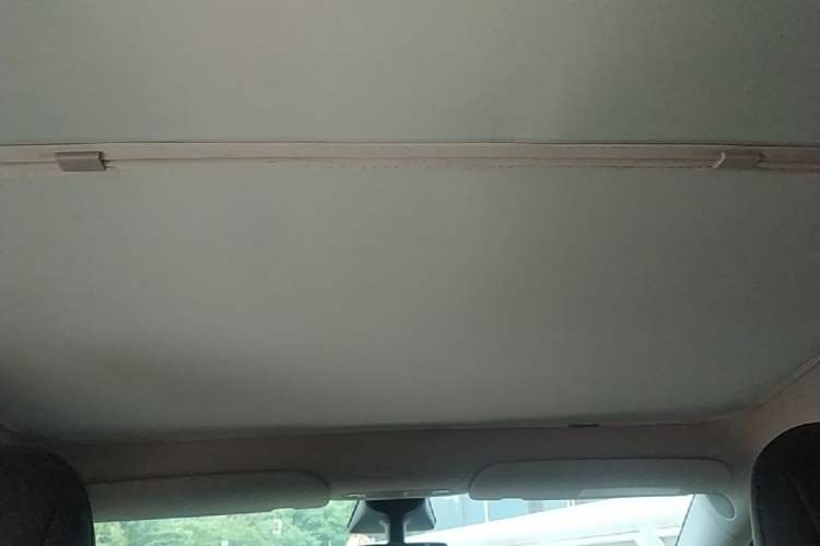 Used Tesla Model Y 2021 Standard Range Rear-Wheel Drive Version Headliner