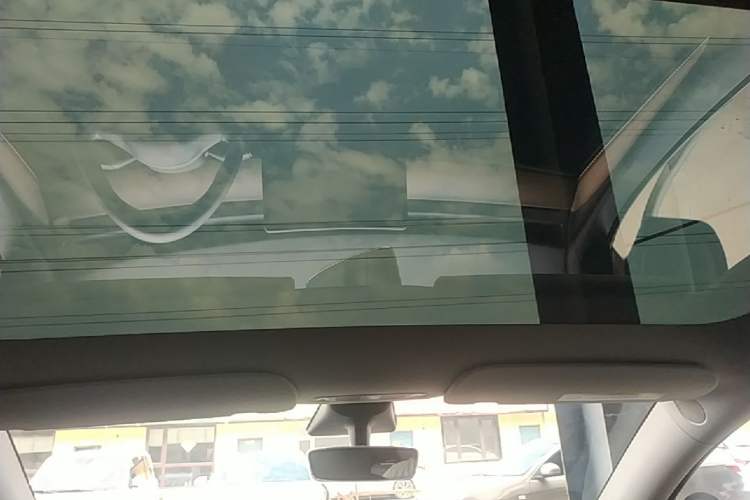 Used Tesla Model Y 2021 Standard Range Rear-Wheel Drive Version Headliner