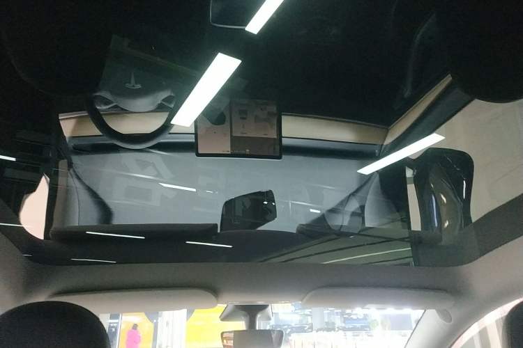Used Tesla Model Y 2021 Standard Range Rear-Wheel Drive Version Headliner