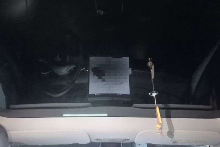Used Tesla Model Y 2021 Standard Range Rear-Wheel Drive Version Headliner