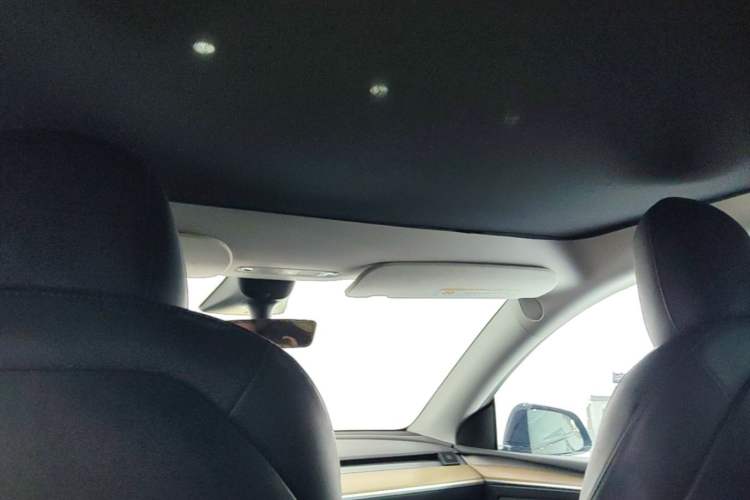 Used Tesla Model Y 2021 Performance High-Performance All-Wheel-Drive Version Headliner