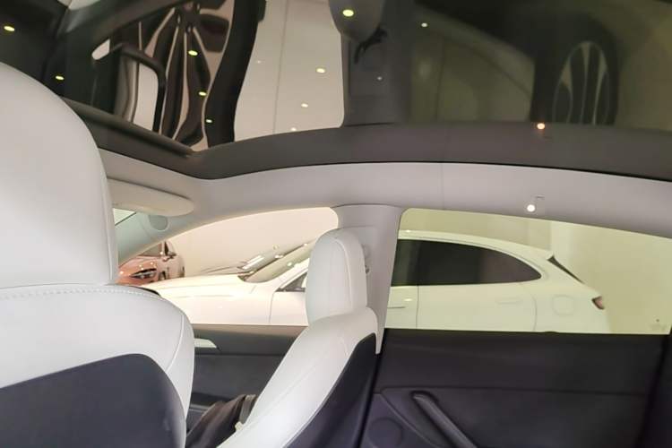 Used Tesla Model Y 2021 Long-Range All-Wheel-Drive Version Headliner