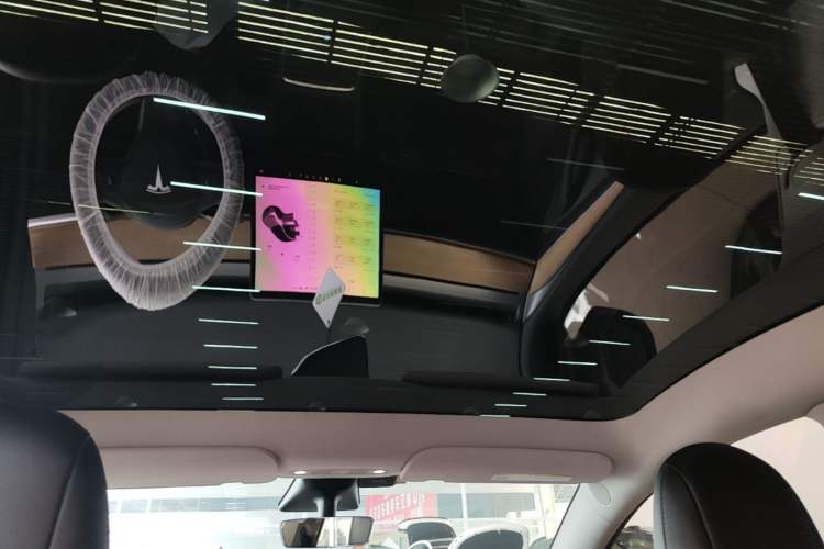 Used Tesla Model Y 2021 Standard Range Rear-Wheel Drive Version Headliner
