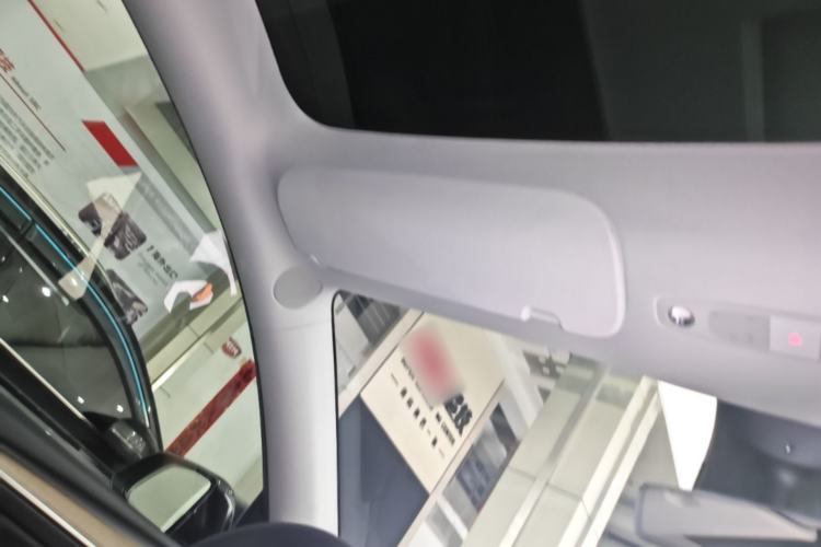 Used Tesla Model Y 2021 Standard Range Rear-Wheel Drive Version Headliner