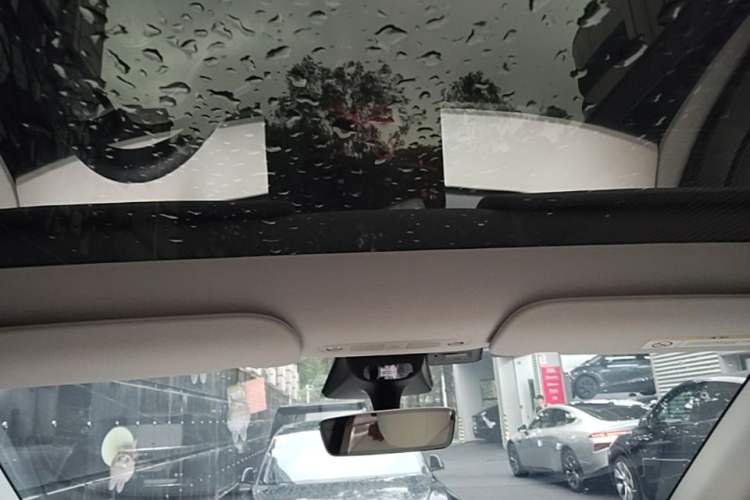 Used Tesla Model Y 2021 Performance High-Performance All-Wheel-Drive Version Headliner