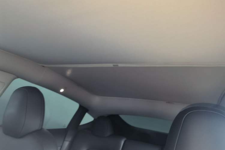 Used Tesla Model Y 2021 Long-Range All-Wheel-Drive Version Headliner