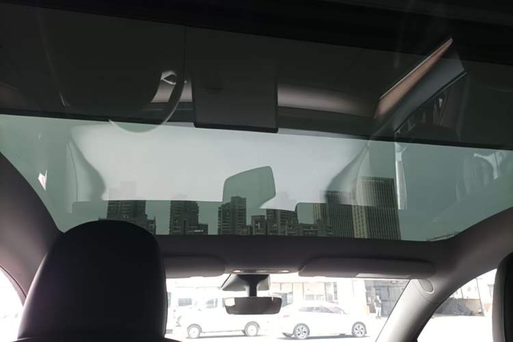 Used Tesla Model Y 2021 Standard Range Rear-Wheel Drive Version Headliner