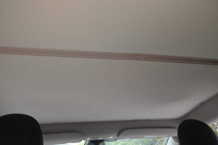 Used Tesla Model Y 2021 Long-Range All-Wheel-Drive Version Headliner