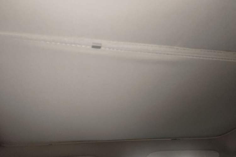 Used Tesla Model Y 2021 Long-Range All-Wheel-Drive Version Headliner