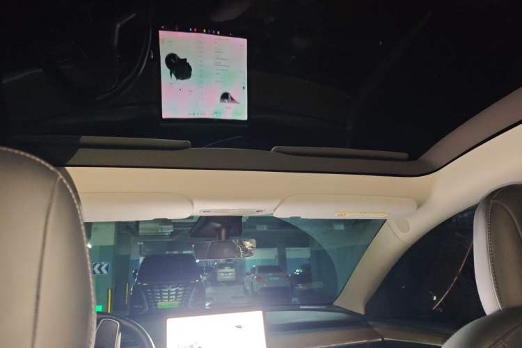 Used Tesla Model Y 2021 Standard Range Rear-Wheel Drive Version Headliner