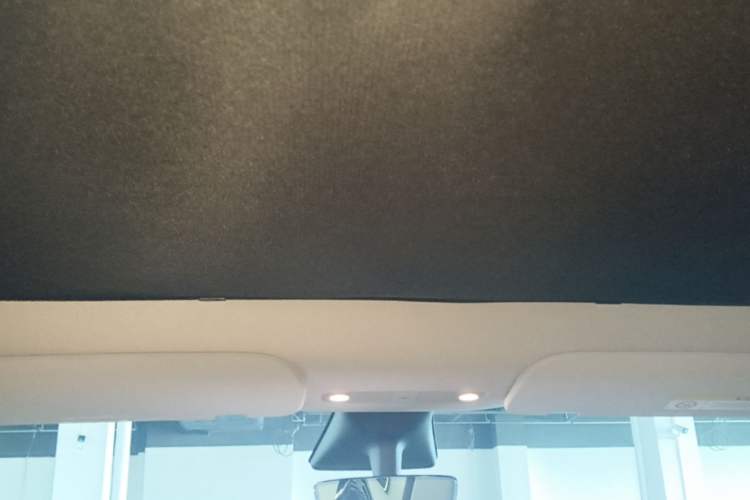 Used Tesla Model Y 2021 Long-Range All-Wheel-Drive Version Headliner