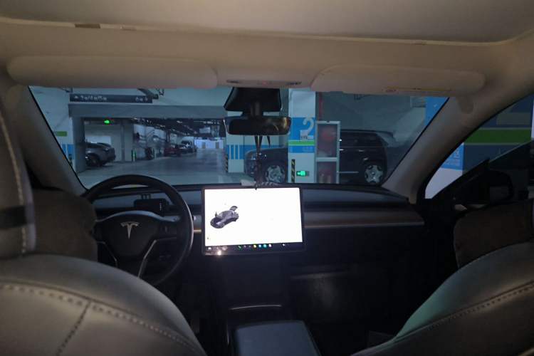 Used Tesla Model Y 2021 Standard Range Rear-Wheel Drive Version Headliner