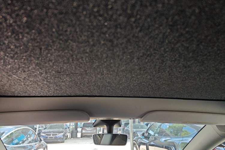 Used Tesla Model Y 2021 Standard Range Rear-Wheel Drive Version Headliner