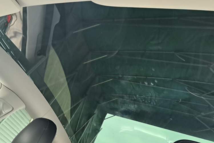 Used Tesla Model Y 2021 Standard Range Rear-Wheel Drive Version Headliner