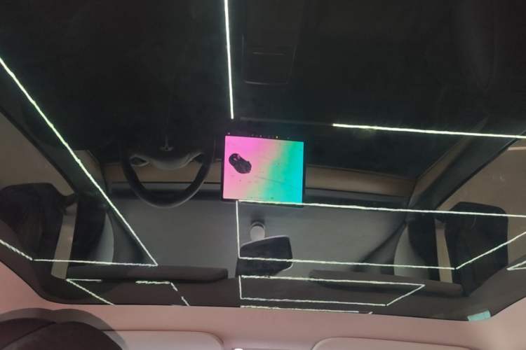 Used Tesla Model Y 2021 Long-Range All-Wheel-Drive Version Headliner