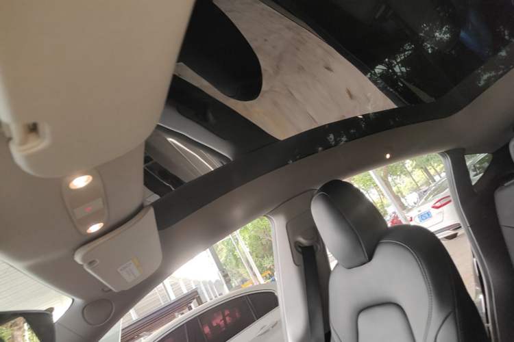 Used Tesla Model Y 2021 Long-Range All-Wheel-Drive Version Headliner