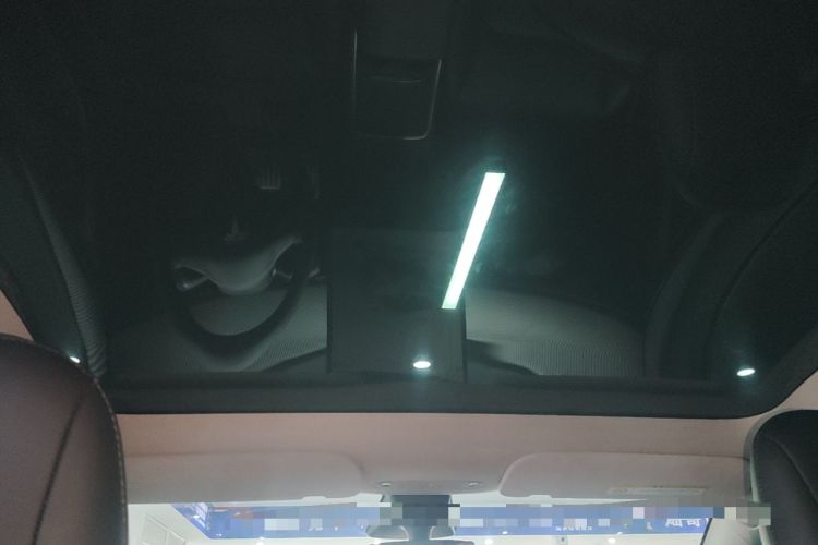 Used Tesla Model Y 2021 Performance High-Performance All-Wheel-Drive Version Headliner