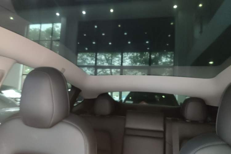 Used Tesla Model Y 2021 Standard Range Rear-Wheel Drive Version Headliner