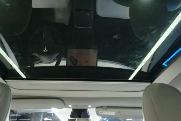 Used Tesla Model Y 2021 Standard Range Rear-Wheel Drive Version Headliner
